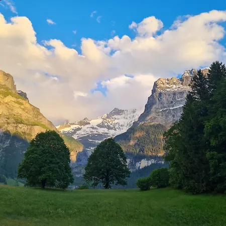 Abo - Boutique - Grindelwaldgletscher *