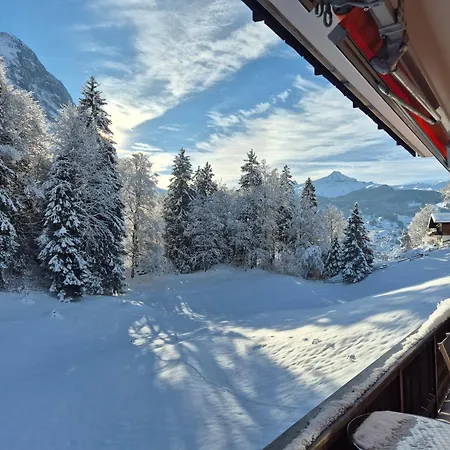 Gletscher - Boutique Appartement *