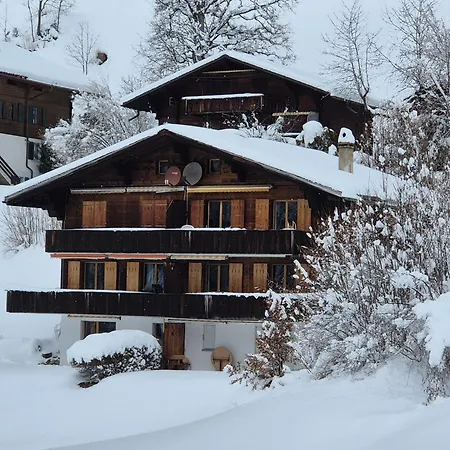 Abo - Boutique - Grindelwaldgletscher *