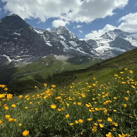 Apartment Abo - Boutique - Grindelwaldgletscher *