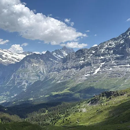Abo - Boutique - Grindelwaldgletscher Apartment Grindelwald