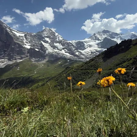Apartment Abo - Boutique - Grindelwaldgletscher