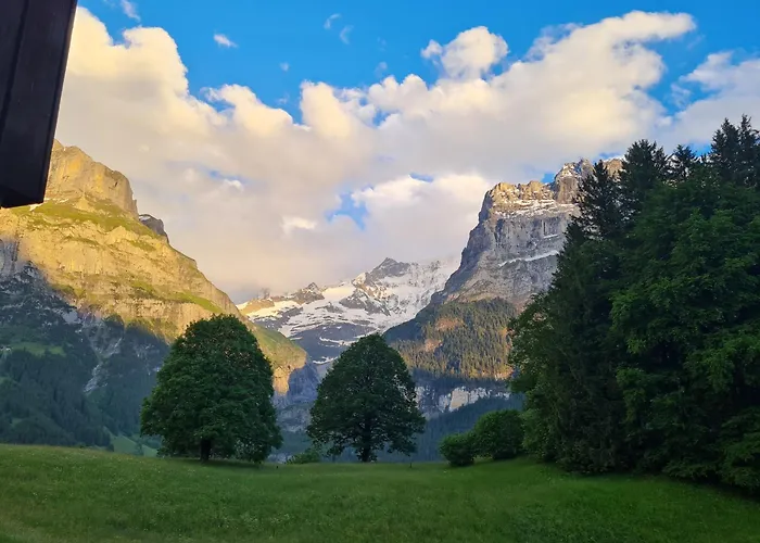 Gletscher - Boutique *