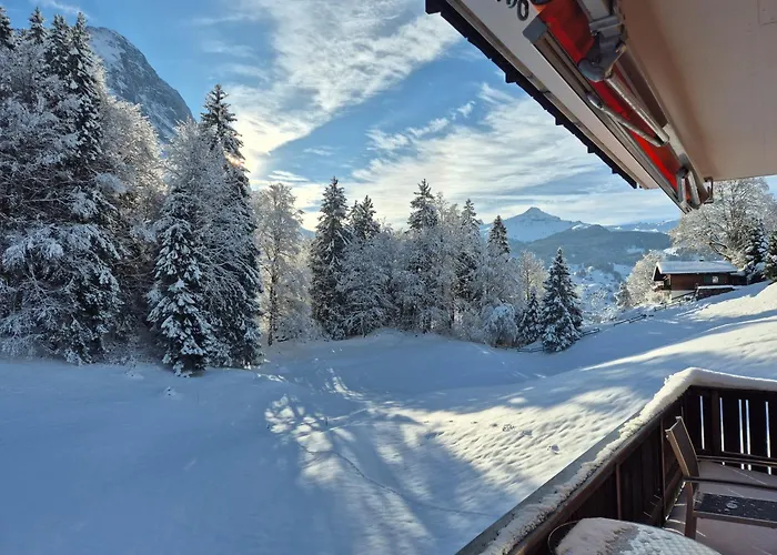 Abo - Boutique - Grindelwaldgletscher Apartment *