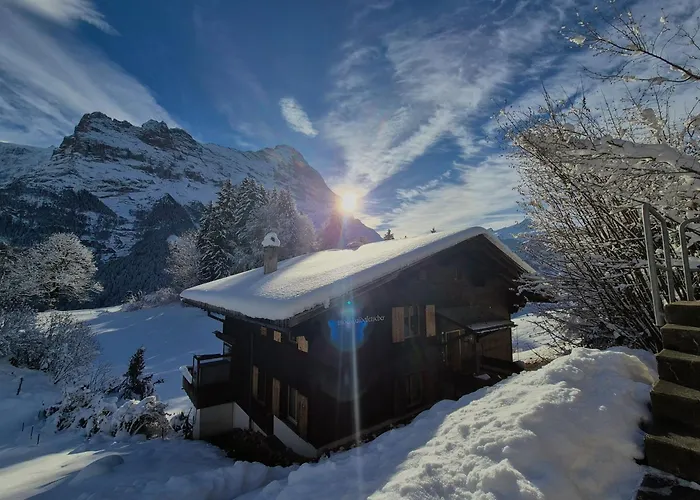 Gletscher - Boutique Grindelwald