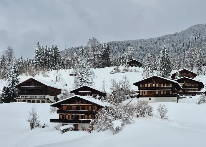 Abo - Boutique - Grindelwaldgletscher جريندلوالد