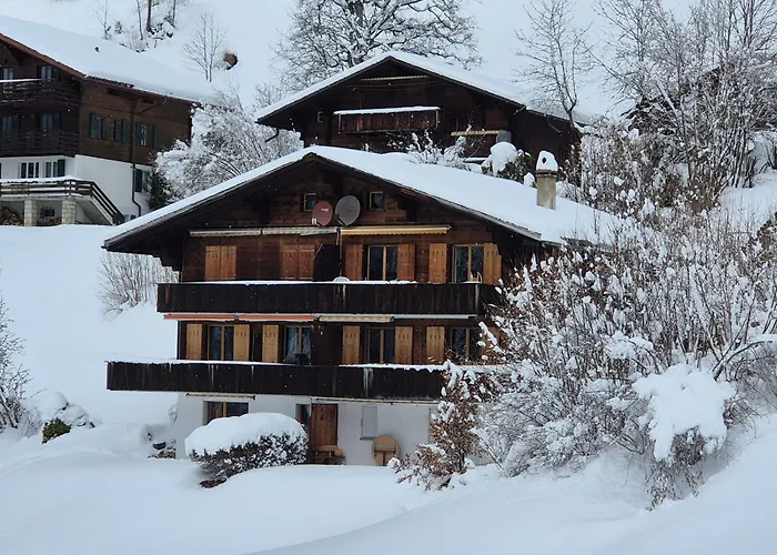 Abo - Boutique - Grindelwaldgletscher *