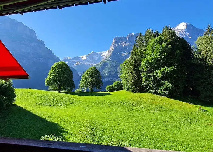 Abo - Boutique - Grindelwaldgletscher *